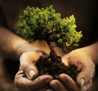 Investment | Business Strategies | Financial Planning | Business Forecasting